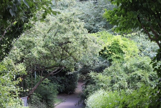 Le Parc Tenbosch